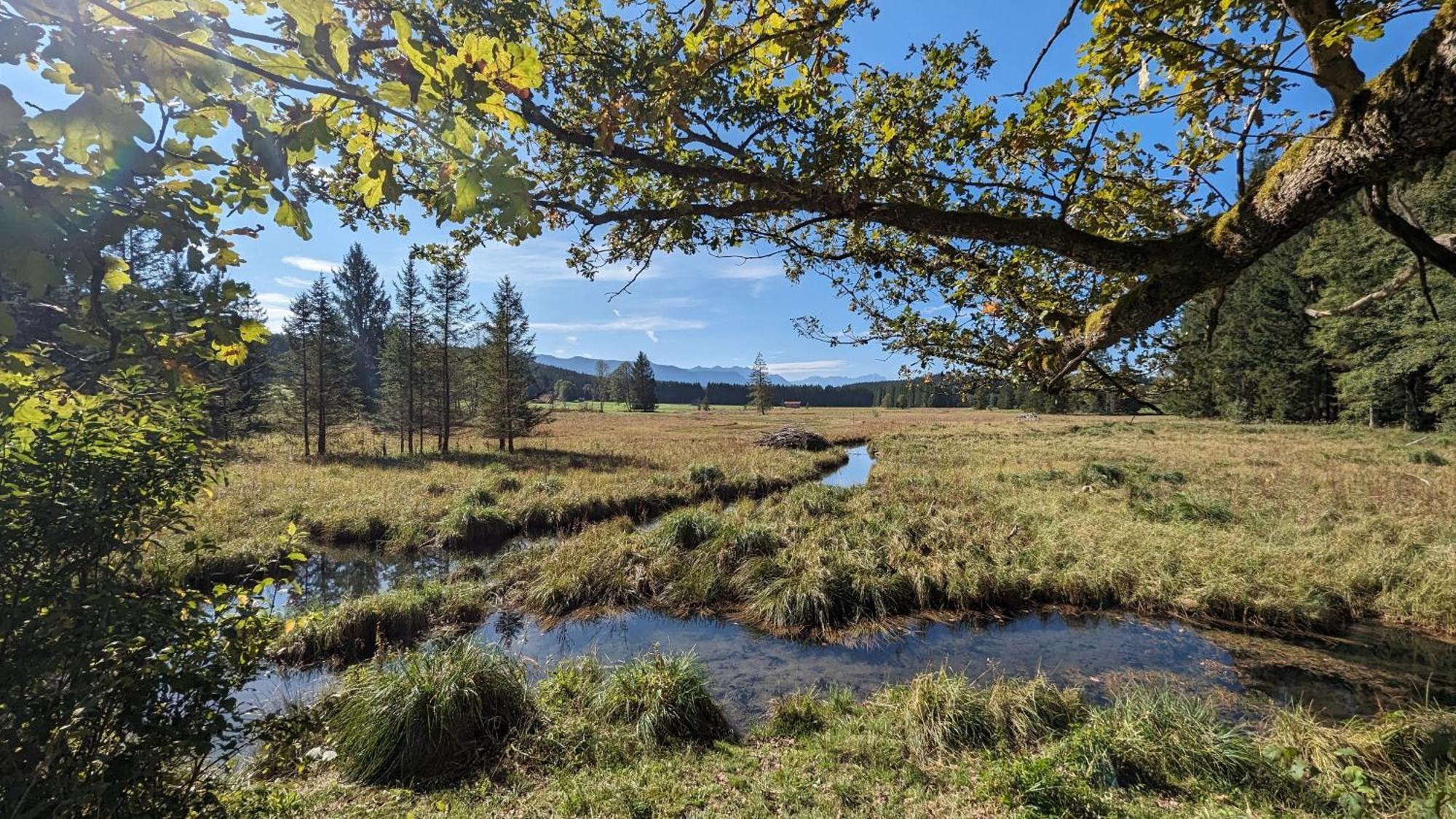 Liboria I Traumhafte Ferienwohnung In Aidling Am Riegsee Mit Atemberaubendem Panoramablick! Extérieur photo